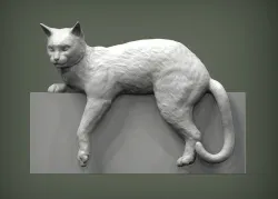 Cat for 3d printing 3D print model