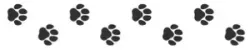Cat paws texture roller