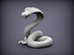 cobra snake 3D print model