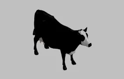 COW 3D II