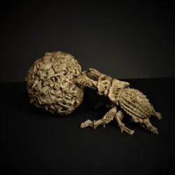 Death Beetle and Undead Ball