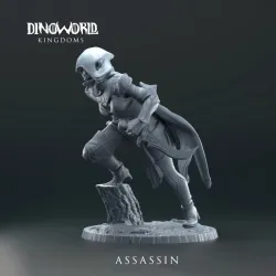 Elf assassin