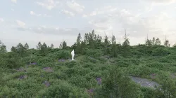 Forest Biome for Scatter 5 Blender Low-poly 3D model