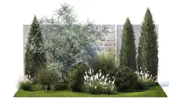 Garden with thuja cypress olive pine and bushes 1378 3D model