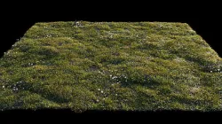 Grass setup - Chaos scatter for Cinema 4D and Corona 3D model