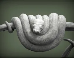 Green tree python  3D print model
