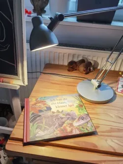 Ikea Antifoni Lampshade Mounting - Ikea-Antifoni Lampenschirmbefestigung