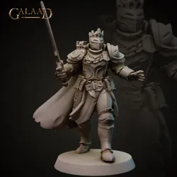King Armor Knight