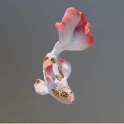 Koi fish