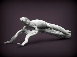 Leopard gecko 3D print model