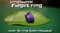 Longitudinal fidget ring