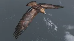Low poly animated eagle Low-poly 3D model