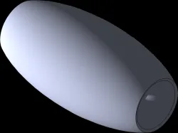 maraca