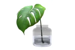 Monstera B03 Low-poly 3D model