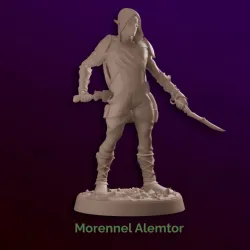 Morennel Alemtor - Drow Rogue