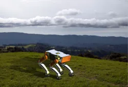 Robot Dog