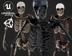 Skeleton Humanoid - Game Ready Low-poly 3D model