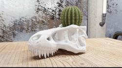t rex illusion print 3D Models | Page 1 | STLFinder