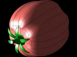 Tomato