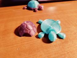 comb box with turtle s shell design 3D Models | Page 1 | STLFinder