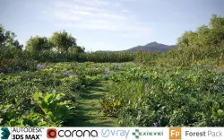 Vegetables Crop Collection - Include GrowFX and Mesh file  3D model