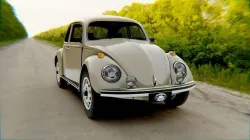 Volkswagen Beetle 198x 3D model