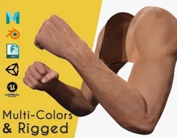 VR 4K Realistic Hands Multi-Skins Colors Rigged HQ Low-poly 3D model