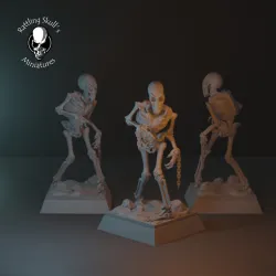 Skeleton