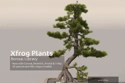 2020 XfrogPlants Bonsai Library  3D model