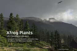 2020 XfrogPlants USA Conifers Library  3D model