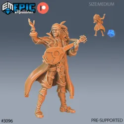 Bard Player Character / Pirate Male / Human Corsair / Quartermaster / Ship Captain