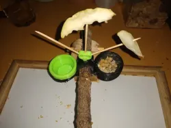Bird perch snack feeder