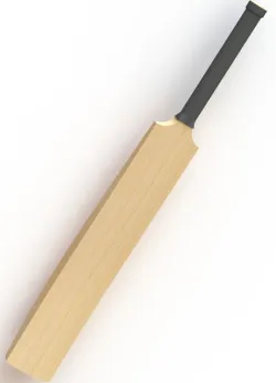Cricket Bat