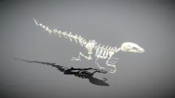 Dinosaur Skeleton Low-poly 3D model