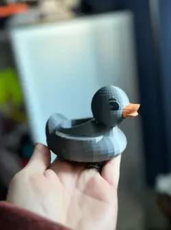 Duck Planter
