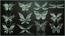 Fairy Wings 3D model