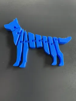 "Flexi" Dog2