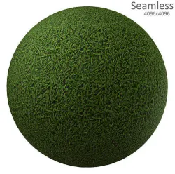 grass texture Texture