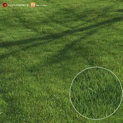 green lawn 3D model