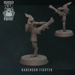 harengon fighter