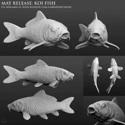 Koi Fish 3D print model
