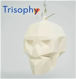 Low poly skull