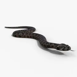 Palestine viper Animated VFX Grace 3D model