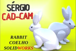 RABBIT 3D MODEL SÉRGIO CAD CAM