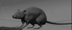 Rat model 3D model
