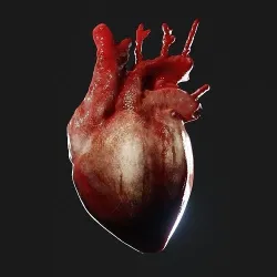 Realistic organ human heart 3D model