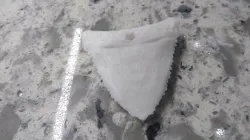 shark tooth