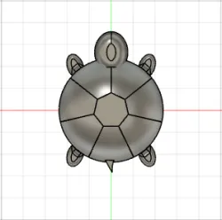 tartaruga