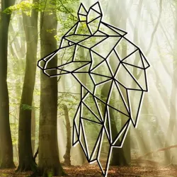 WOLF wall art