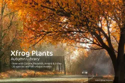 2020 XfrogPlants Autumn Trees Library  3D model